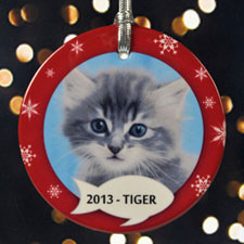 Ornement photo en porcelaine personnalisé Noël de chaton